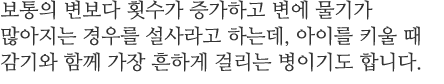 보통의 변보다 횟수가 증가하고 변에 물기가 많아지는 경우를 설사라고 하는데, 아이를 키울 때 감기와 함께 가장 흔하게 걸리는 병이기도 합니다. 