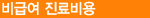 비급여진료비용